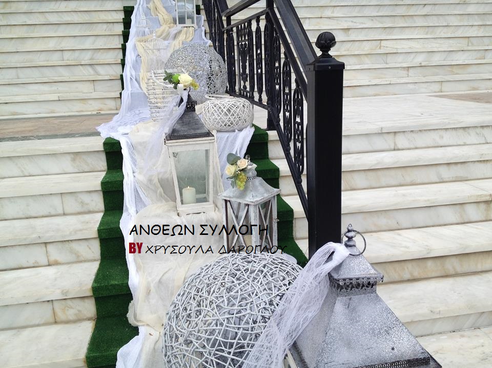 11392_10204963865914511_3443469743623978850_n (1).jpg